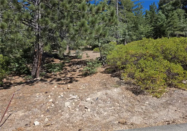 2nd image of 2419 Pine Dr, Running Springs, CA 92382 | MLS# IG26149938