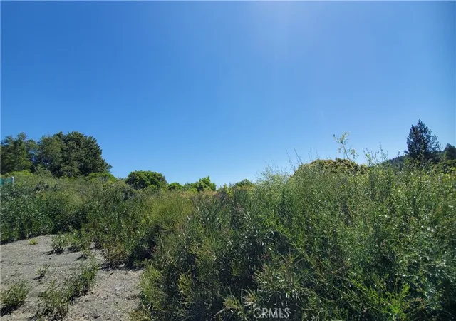 5th image of 9176 Diamond Dust, Kelseyville, CA 95451 | MLS# LC26149979