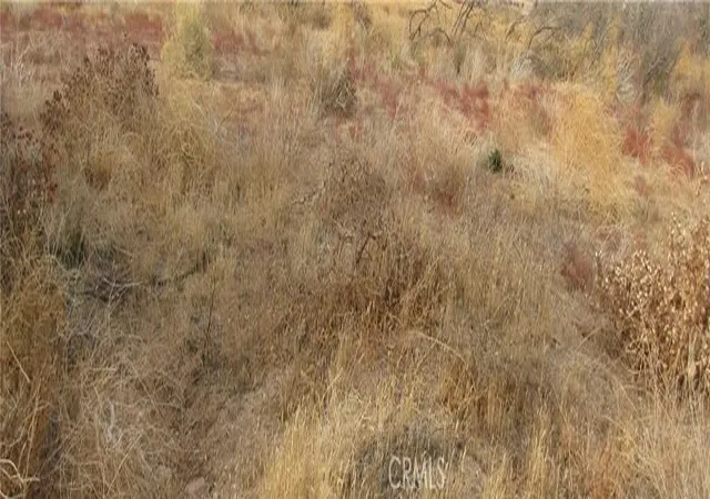 1st image of 0 043 330 01 07 5 Twisselman Rd, Lost Hills, CA 93249 | MLS# IG26150023