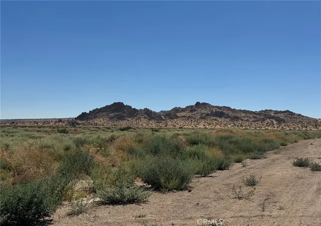 4th image of 154 Ste, Lake Los Angeles, CA 93535 | MLS# SR26150444