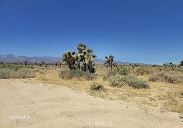 1st image of 0 Daisy Rd, Phelan, CA 92371 | MLS# CV26150520