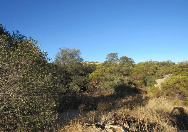 4th image of 2977 Acres Old Hwy 80, Boulevard, CA 91905 | MLS# PTP2605207