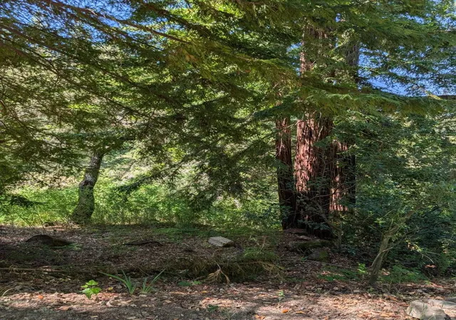Homes for sale in Boulder Creek, CA | 18770 Kelly (Mustang Mesa), Boulder Creek, CA 95006 | MLS# ML82053862