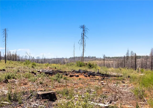 25th image of 335 Mann And Nolta Ridge, Chico, CA 95973 | MLS# SN26150976