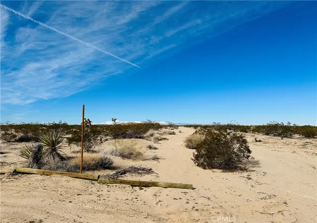 13th image of 1234 Desert Lily, Joshua Tree, CA 92252 | MLS# JT26151074