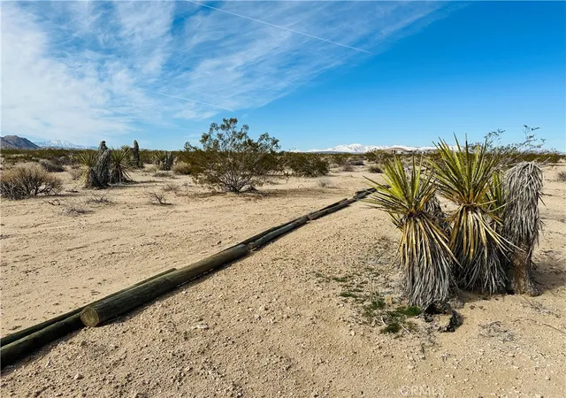1st image of 1234 Desert Lily, Joshua Tree, CA 92252 | MLS# JT26151074