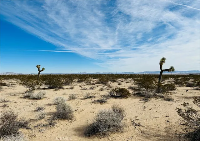 2nd image of 1234 Desert Lily, Joshua Tree, CA 92252 | MLS# JT26151074