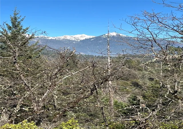 Photo 1 of Land for sale at 38041 State Hwy 3, Weaverville, CA 96093 | MLS# ND26151369 | Listing updated on 2026-07-11