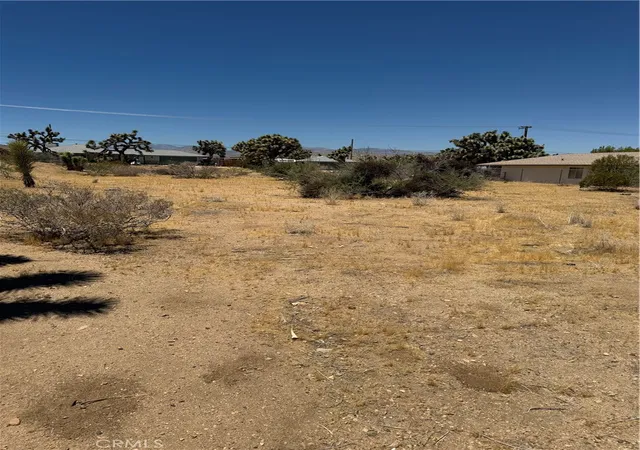 2nd image of 8001 Aster Ave, Yucca Valley, CA 92284 | MLS# OC26151438