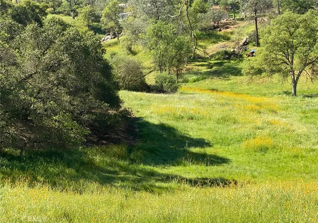 5th image of 17 Titan, Coarsegold, CA 93614 | MLS# FR26151555