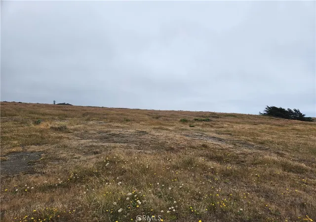2nd image of 16200 S Hwy 1, Manchester, CA 95459 | MLS# LC26152263