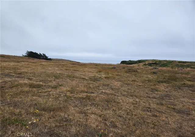 3rd image of 16200 S Hwy 1, Manchester, CA 95459 | MLS# LC26152263