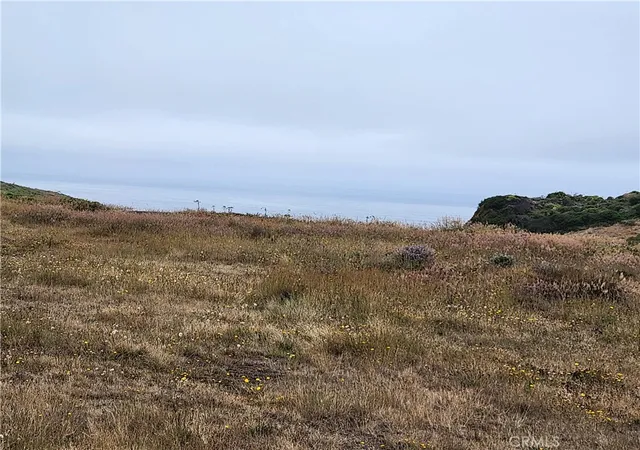 4th image of 16200 S Hwy 1, Manchester, CA 95459 | MLS# LC26152263