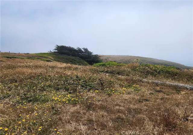 7th image of 16200 S Hwy 1, Manchester, CA 95459 | MLS# LC26152263