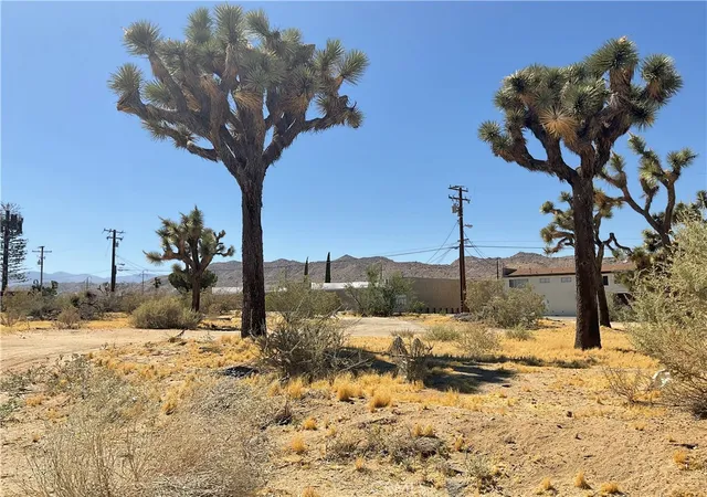 8th image of 0 Primrose, Yucca Valley, CA 92284 | MLS# JT26115130