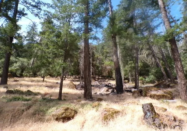 Photo 3 of Land for sale at 8020 Soda Bay Rd, Kelseyville, CA 95451 | MLS# LC26152292 | Listing updated on 2026-07-13