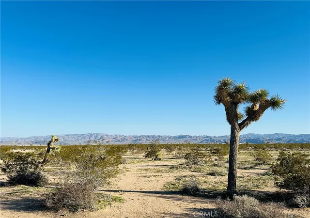 1st image of 1974 Sunset, Joshua Tree, CA 92252 | MLS# JT26152662