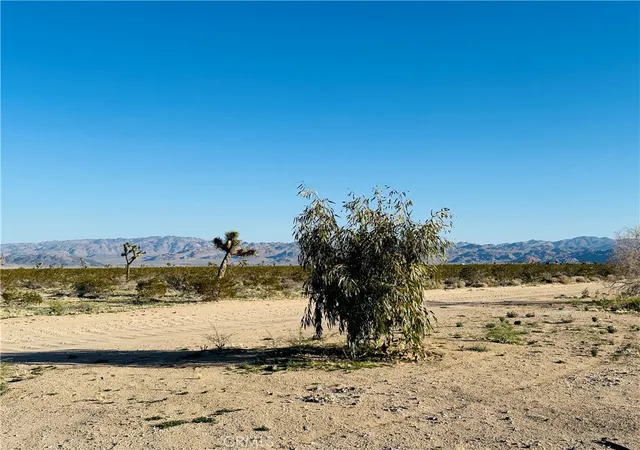 2nd image of 1974 Sunset, Joshua Tree, CA 92252 | MLS# JT26152662