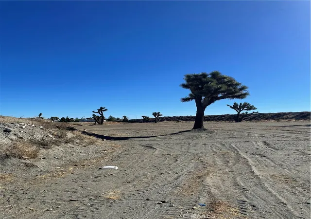 2nd image of 0 Rosado Rd, Pinon Hills, CA 92372 | MLS# HD26153087