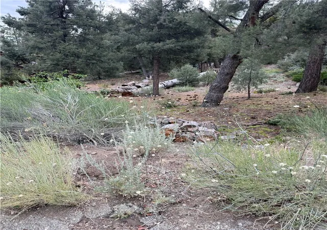 Photo 3 of Land for sale at 1620 Zion, Pine Mountain Club, CA 93222 | MLS# SR26153312 | Listing updated on 2026-07-14