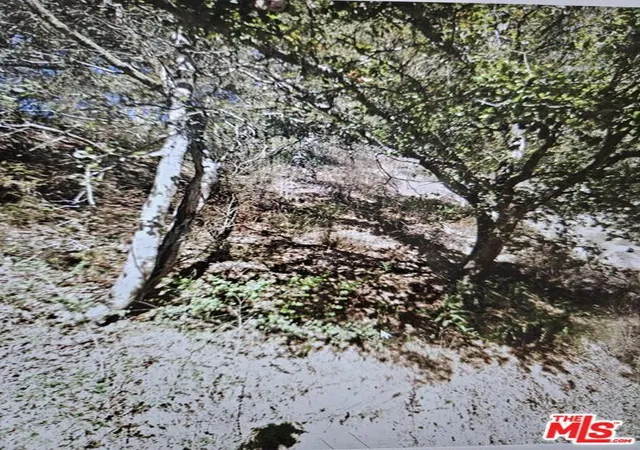 Photo 4 of Land for sale at 7239 Thorndale Dr, Oakland, CA 94611 | MLS# 26859717 | Listing updated on 2026-10-07