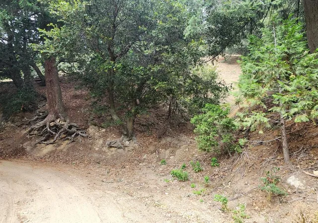 1st image of 0 Fern Canyon Rd, Crestline, CA 92325 | MLS# 219150283DA