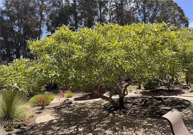 Photo 3 of Sale Pending at 1007 Maggie Ln, Nipomo, CA 93444 | MLS# PI26153741 | Listing updated on 2026-09-01
