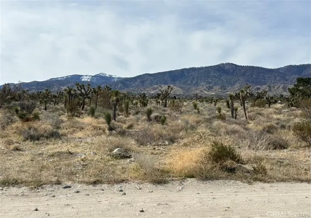 1st image of 0 Mono Rd, Pinon Hills, CA 92372 | MLS# PW26154467