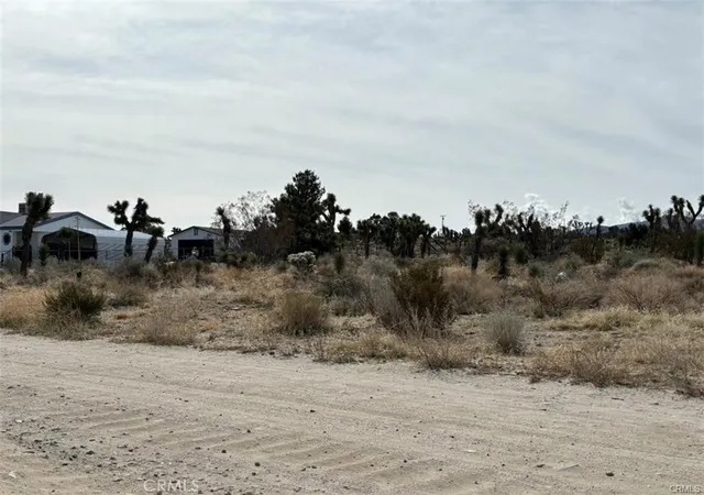 2nd image of 0 Mono Rd, Pinon Hills, CA 92372 | MLS# PW26154467