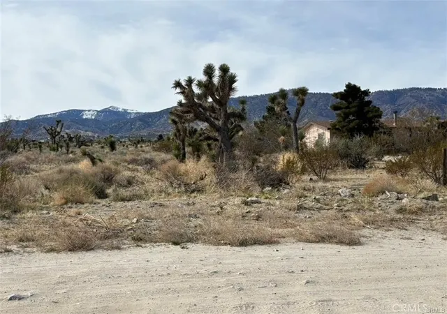 3rd image of 0 Mono Rd, Pinon Hills, CA 92372 | MLS# PW26154467