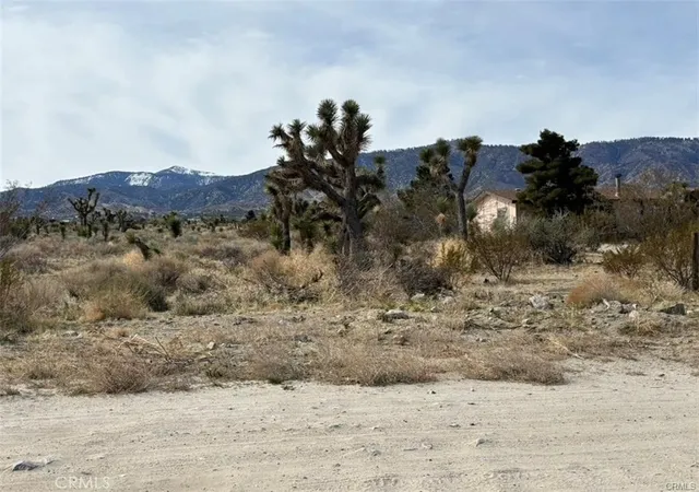 Photo 3 of Land for sale at 0 Mono Rd, Pinon Hills, CA 92372 | MLS# PW26154467 | Listing updated on 2026-08-04