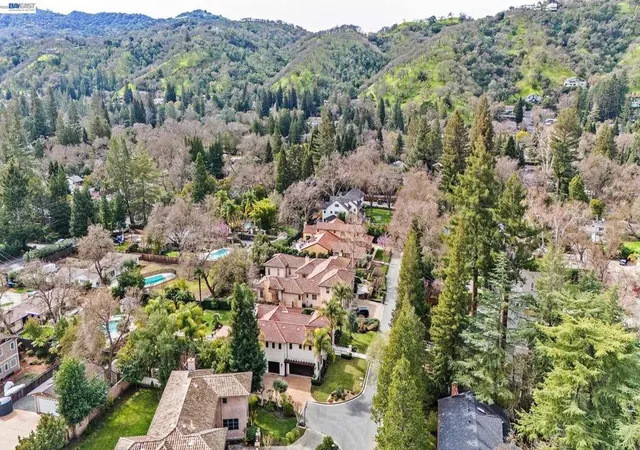Photo 71 of Mansion for sale at 1439 Vine Ln, Alamo, CA 94507 | MLS# 41141713 | Listing updated on 2026-10-07