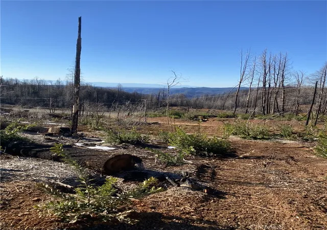 1st image of 45 Fox Hill, Berry Creek, CA 95916 | MLS# SN26154985