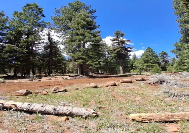 2nd image of 0 Sunset Dr, California Pines, CA 96101 | MLS# ND26155591