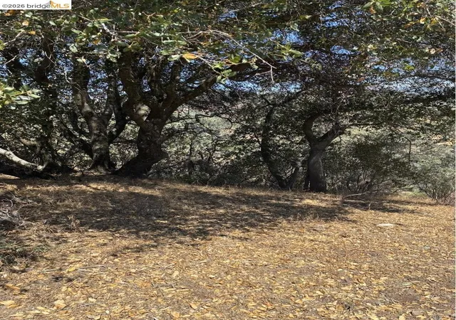 Photo 3 of Land for sale at 21289 Oman Dr, Soulsbyville, CA 95372 | MLS# 41141924 | Listing updated on 2026-09-18