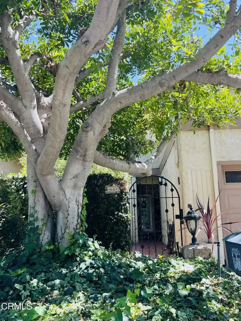 Photo 1 of Single family home for sale at 66 Paseo Esplendido, Camarillo, CA 93010 | MLS# V1-37655 | Listing updated on 2026-10-22