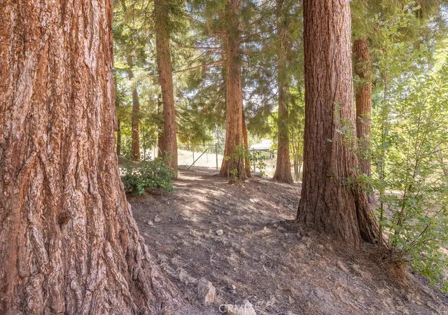 Photo 2 of Single family home for sale at 2383 Secret, Running Springs, CA 92382 | MLS# IG26155967 | Listing updated on 2026-09-12