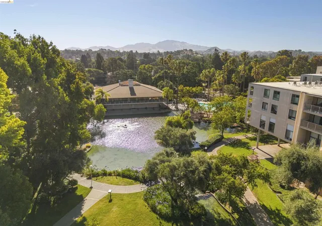 Photo 3 of Condo for sale at 420 N Civic Dr #207, Walnut Creek, CA 94596 | MLS# 41142039 | Listing updated on 2026-09-24