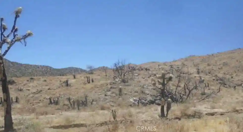 Photo 1 of Land for sale at 0 N Of Elata Ave, Yucca Valley, CA 92284 | MLS# IV26155619 | Listing updated on 2026-07-28