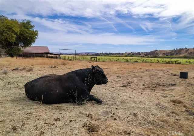 Photo 4 of Land for sale at 13625 Ea Hwy 46, Paso Robles, CA 93446 | MLS# NS26156511 | Listing updated on 2026-07-17