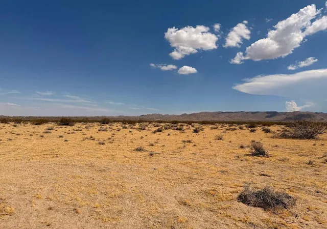 Photo 1 of Land for sale at 5 Brody, Johnson Valley, CA 92285 | MLS# 219150452DA | Listing updated on 2026-09-30