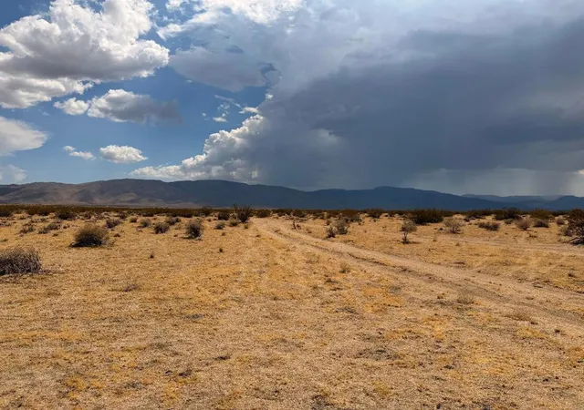 Photo 3 of Land for sale at 5 Brody, Johnson Valley, CA 92285 | MLS# 219150452DA | Listing updated on 2026-09-30