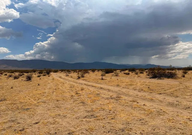 Photo 4 of Land for sale at 5 Brody, Johnson Valley, CA 92285 | MLS# 219150452DA | Listing updated on 2026-09-30