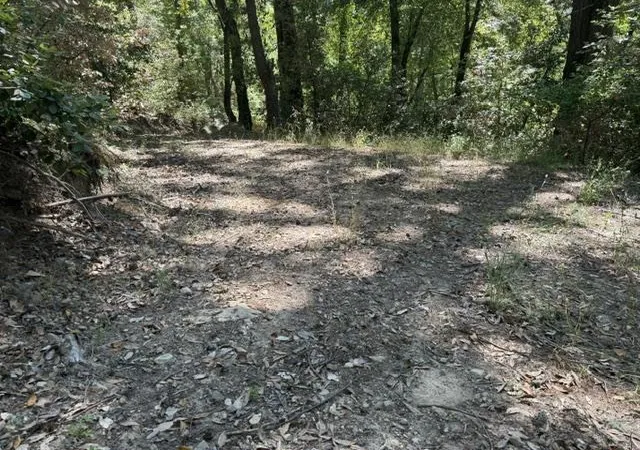 Photo 3 of Land for sale at 19179 Skyline Blvd, Los Gatos, CA 95033 | MLS# ML82054733 | Listing updated on 2026-10-12