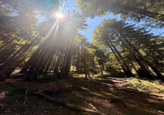 Photo 1 of Land for sale at 11837 Clear Crk Rd, Brookdale, CA 95007 | MLS# ML82054773 | Listing updated on 2026-09-30