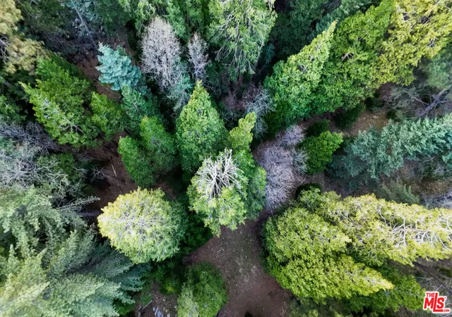 Photo 3 of Land for sale at 246 Cedar Ridge Dr, Lake Arrowhead, CA 92352 | MLS# 26863197 | Listing updated on 2026-09-24
