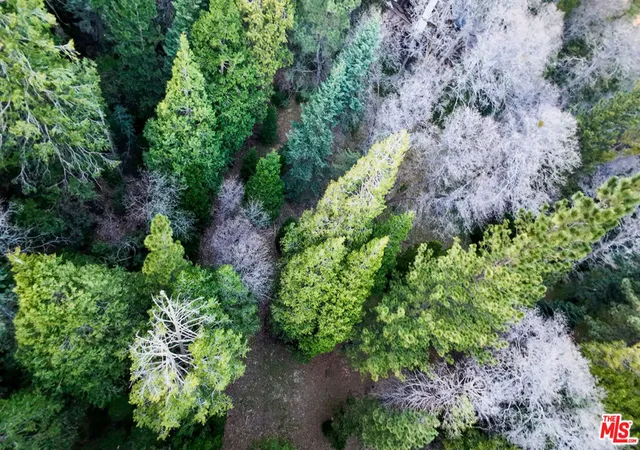 Photo 3 of Land for sale at 246 Cedar Ridge Dr, Lake Arrowhead, CA 92352 | MLS# 26863197 | Listing updated on 2026-09-24