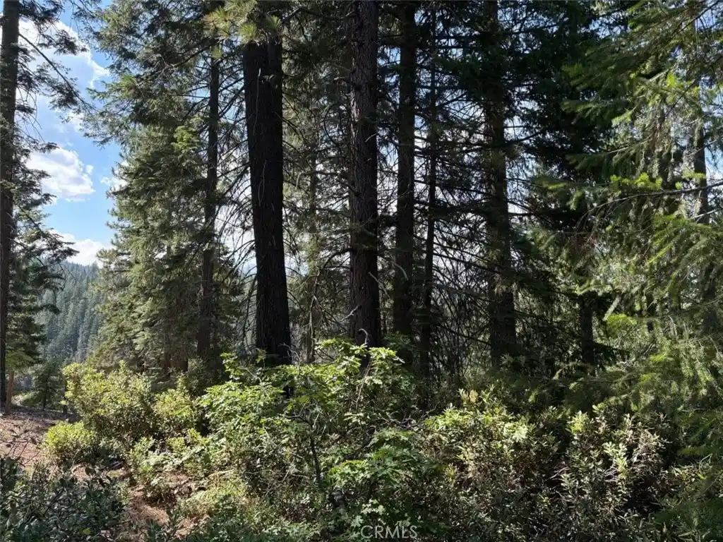 Land for sale at 9936 Fobes, Morongo Valley, CA 92256 | MLS# ND26161127