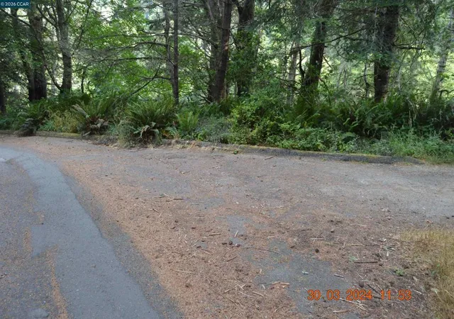 Photo 2 of Land for sale at (Undisclosed), Manchester, CA 95459 | MLS# 41142809 | Listing updated on 2026-08-31