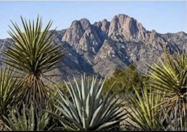 Photo 1 of Land for sale at 63330 Jeraboa Rd, Mountain Center, CA 92561 | MLS# 219150766DA | Listing updated on 2026-09-04